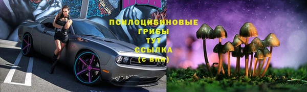 прущая мука Гусь-Хрустальный