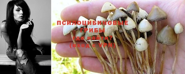 крисы Гусев
