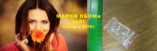 крисы Гусев