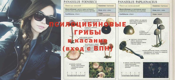 Альфа ПВП Гусиноозёрск