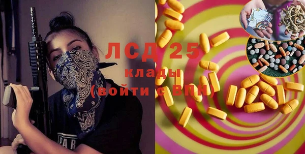 крисы Гусев
