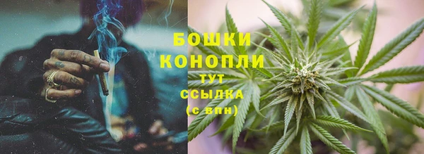 крисы Гусев