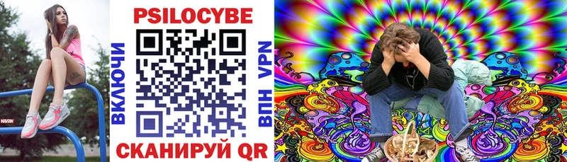 kraken   Староминская  Псилоцибиновые грибы Cubensis 